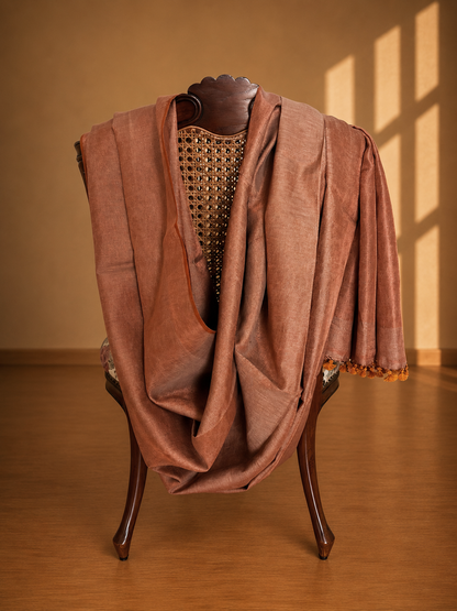 Shimmering Beige Copper Linen Tissue Saree