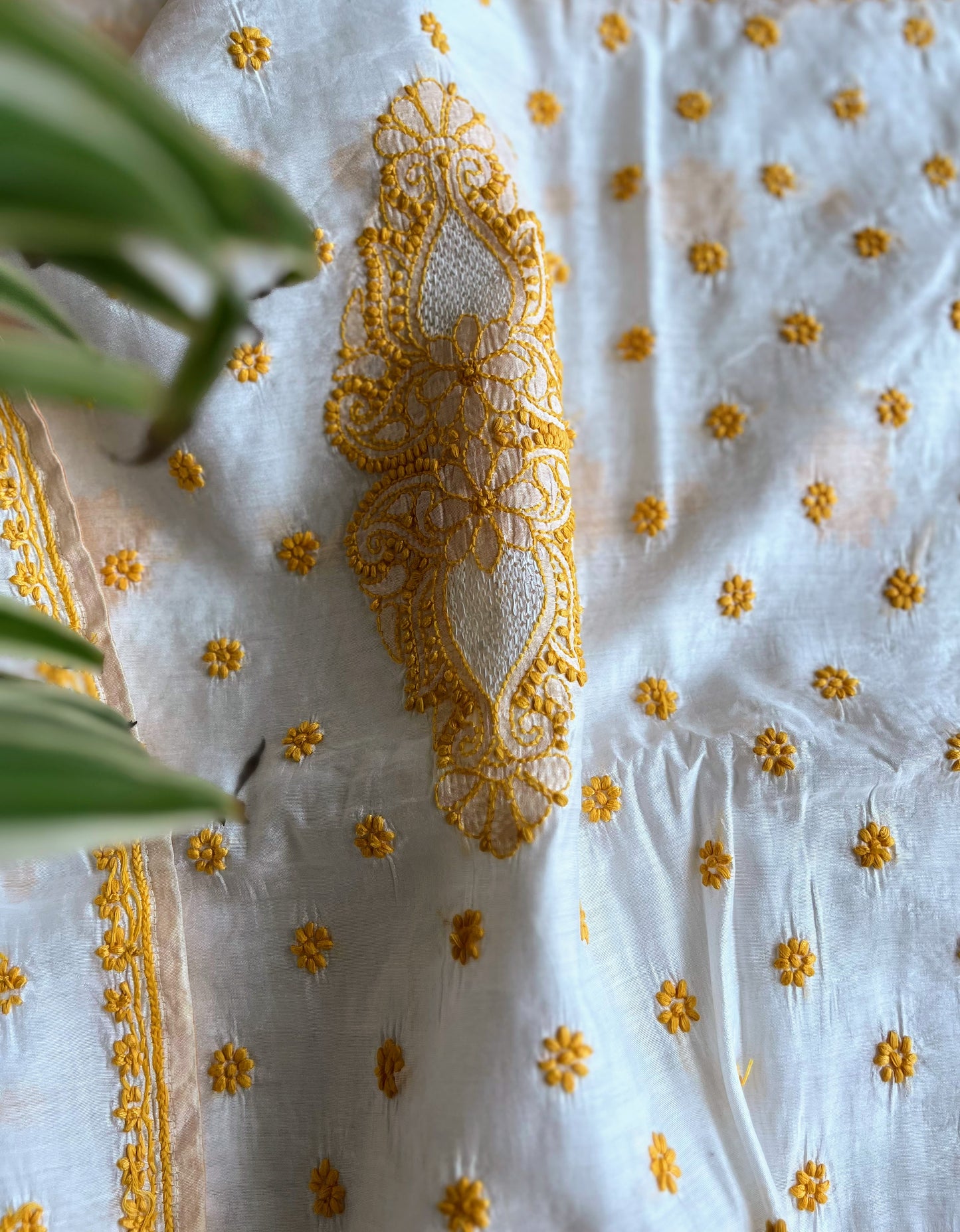 Ochre Yellow and White Chikankari Saree on Chanderi