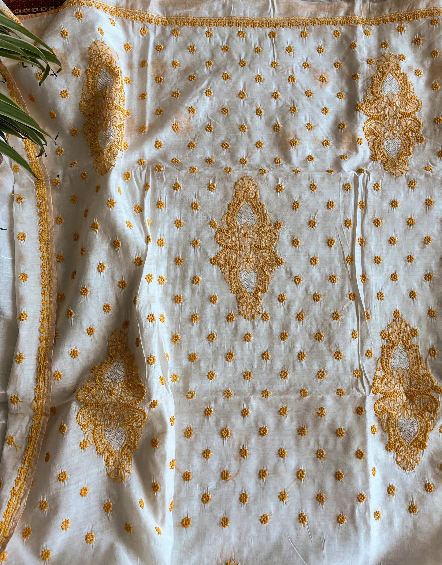 Ochre Yellow and White Chikankari Saree on Chanderi