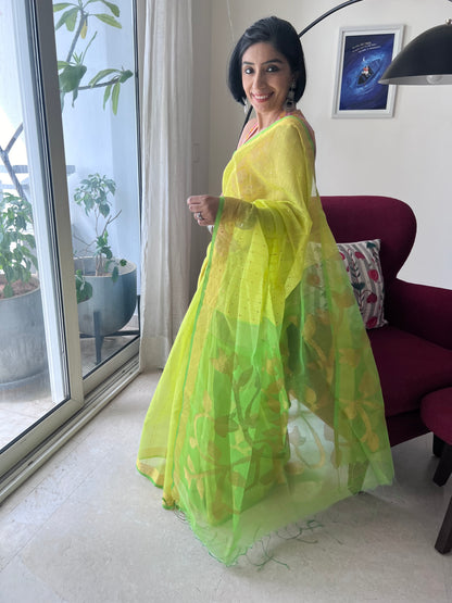Lime 'n Lemony Silk Jamdani with Sequins